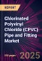 Chlorinated Polyvinyl Chloride (CPVC) Pipe and Fitting Market 2025-2029 - Product Image