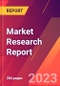 Redox Flow Batteries: 26 Market Forecasts, Roadmaps, Technologies, 48 Manufacturers, Latest Research Pipeline 2024-2044 - Product Thumbnail Image