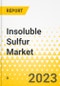 Insoluble Sulfur Market - A Global and Regional Analysis: Focus on Grade, Product Type, Sales Channel, Application and End-Use Industry, and Region - Analysis and Forecast, 2023-2032 - Product Image