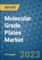 Molecular Grade Plates Market - Global Industry Analysis, Size, Share, Growth, Trends, and Forecast 2031 - By Product, Technology, Grade, Application, End-user, Region: (North America, Europe, Asia Pacific, Latin America and Middle East and Africa) - Product Thumbnail Image