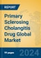 Primary Sclerosing Cholangitis Drug Global Market Insights 2024, Analysis and Forecast to 2029, by Market Participants, Regions, Technology, Product Type - Product Image