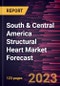 South & Central America Structural Heart Market Forecast to 2028 - Regional Analysis - by Product, Procedure, and End User - Product Thumbnail Image