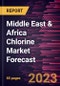 Middle East & Africa Chlorine Market Forecast to 2030 - Regional Analysis - by Application and End-Use Industry - Product Image