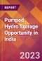 Pumped Hydro Storage Opportunity in India - Product Image