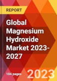 Global Magnesium Hydroxide Market 2023-2027- Product Image
