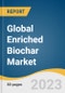Global Enriched Biochar Market Size, Share & Trends Analysis Report by Application (Agriculture, Gardening, Turf), Region (Europe, North America, Asia Pacific, Central & South America, Middle East & Africa), and Segment Forecasts, 2024-2030 - Product Image
