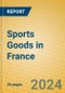 Sports Goods in France - Product Image