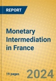 Monetary Intermediation in France- Product Image