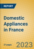 Domestic Appliances in France- Product Image