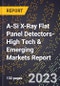 2024 Global Forecast for A-Si X-Ray Flat Panel Detectors (2025-2030 Outlook)-High Tech & Emerging Markets Report - Product Image