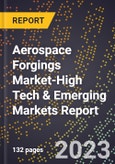2024 Global Forecast for Aerospace Forgings Market (2025-2030 Outlook)-High Tech & Emerging Markets Report- Product Image