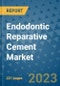 Endodontic Reparative Cement Market - Global Industry Analysis, Size, Share, Growth, Trends, and Forecast 2031 - By Product, Technology, Grade, Application, End-user, Region: (North America, Europe, Asia Pacific, Latin America and Middle East and Africa) - Product Thumbnail Image