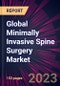 Global Minimally Invasive Spine Surgery Market 2024-2028 - Product Thumbnail Image