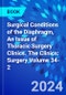 Surgical Conditions of the Diaphragm, An Issue of Thoracic Surgery Clinics. The Clinics: Surgery Volume 34-2 - Product Thumbnail Image