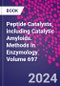 Peptide Catalysts, including Catalytic Amyloids. Methods in Enzymology Volume 697 - Product Thumbnail Image