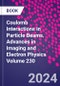 Coulomb Interactions in Particle Beams. Advances in Imaging and Electron Physics Volume 230 - Product Thumbnail Image