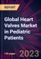 Global Heart Valves Market in Pediatric Patients 2024-2028 - Product Thumbnail Image