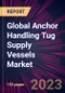 Global Anchor Handling Tug Supply Vessels Market 2024-2028 - Product Image