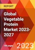 Global Vegetable Protein Market 2023-2027- Product Image