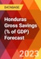 Honduras Gross Savings (% of GDP) Forecast - Product Thumbnail Image