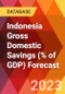 Indonesia Gross Domestic Savings (% of GDP) Forecast - Product Thumbnail Image