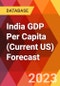 India GDP Per Capita (Current US) Forecast - Product Thumbnail Image