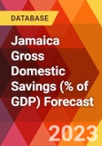 Jamaica Gross Domestic Savings (% of GDP) Forecast- Product Image