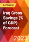 Iraq Gross Savings (% of GDP) Forecast - Product Thumbnail Image