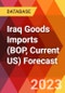 Iraq Goods Imports (BOP, Current US) Forecast - Product Thumbnail Image