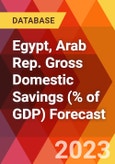 Egypt, Arab Rep. Gross Domestic Savings (% of GDP) Forecast- Product Image