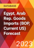 Egypt, Arab Rep. Goods Imports (BOP, Current US) Forecast- Product Image