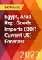 Egypt, Arab Rep. Goods Imports (BOP, Current US) Forecast - Product Thumbnail Image