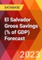 El Salvador Gross Savings (% of GDP) Forecast - Product Thumbnail Image