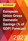 European Union Gross Domestic Savings (% of GDP) Forecast- Product Image