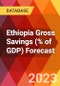 Ethiopia Gross Savings (% of GDP) Forecast - Product Thumbnail Image