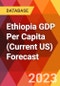Ethiopia GDP Per Capita (Current US) Forecast - Product Thumbnail Image