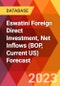 Eswatini Foreign Direct Investment, Net Inflows (BOP, Current US) Forecast - Product Thumbnail Image