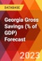 Georgia Gross Savings (% of GDP) Forecast - Product Thumbnail Image