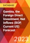 Gambia, the Foreign Direct Investment, Net Inflows (BOP, Current US) Forecast - Product Thumbnail Image