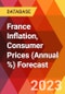 France Inflation, Consumer Prices (Annual %) Forecast - Product Thumbnail Image