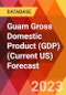 Guam Gross Domestic Product (GDP) (Current US) Forecast - Product Thumbnail Image