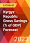 Kyrgyz Republic Gross Savings (% of GDP) Forecast - Product Image