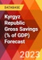 Kyrgyz Republic Gross Savings (% of GDP) Forecast - Product Thumbnail Image