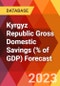 Kyrgyz Republic Gross Domestic Savings (% of GDP) Forecast - Product Image