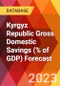 Kyrgyz Republic Gross Domestic Savings (% of GDP) Forecast - Product Thumbnail Image