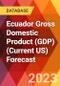 Ecuador Gross Domestic Product (GDP) (Current US) Forecast - Product Thumbnail Image