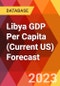 Libya GDP Per Capita (Current US) Forecast - Product Thumbnail Image
