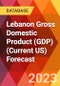 Lebanon Gross Domestic Product (GDP) (Current US) Forecast - Product Thumbnail Image