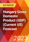 Hungary Gross Domestic Product (GDP) (Current US) Forecast - Product Thumbnail Image