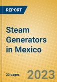 Steam Generators in Mexico- Product Image